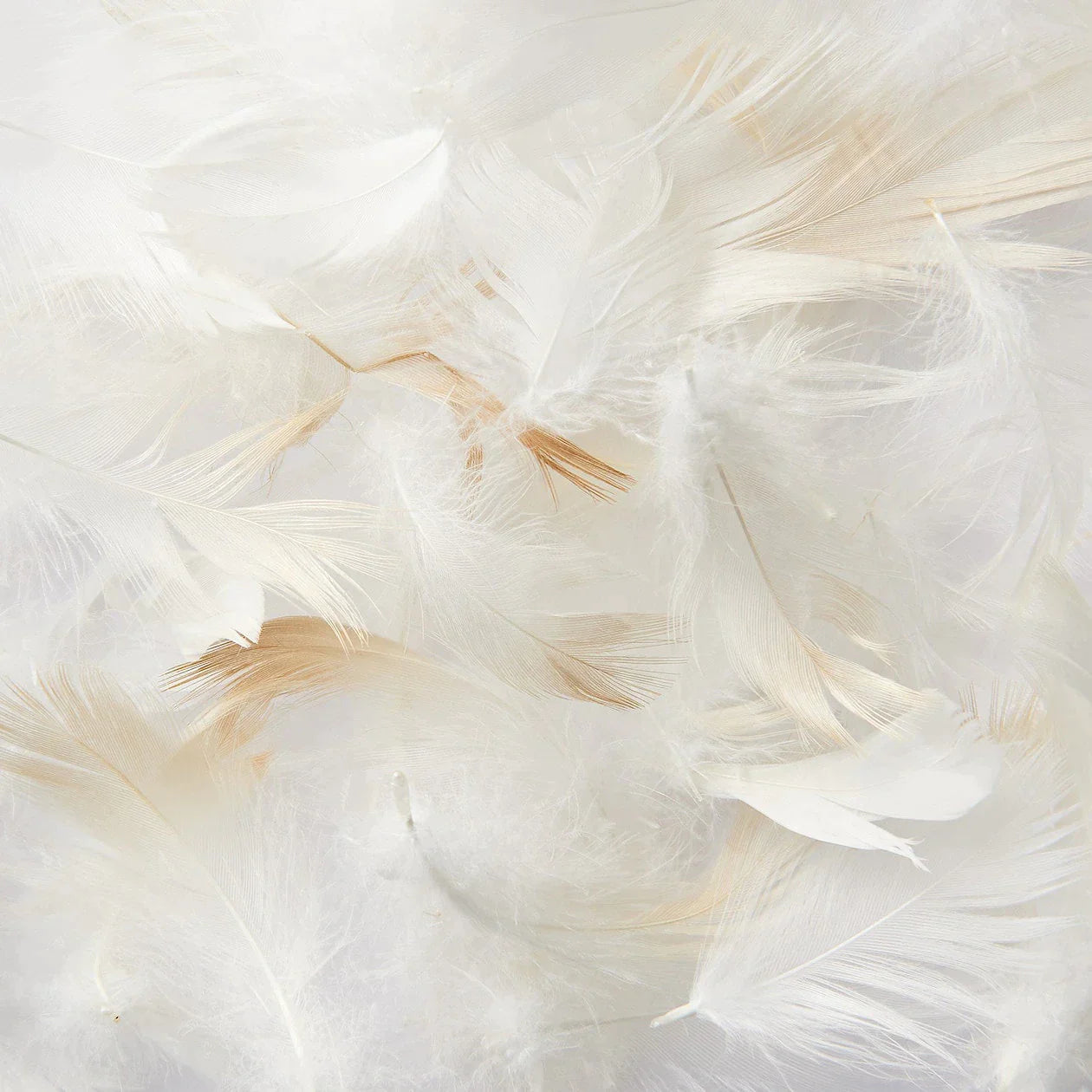 Feather Pillow - Image 5