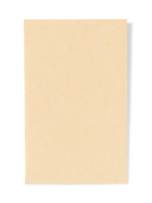 Bamboo Paper Petit Envelope - Kraft (5 Pack)