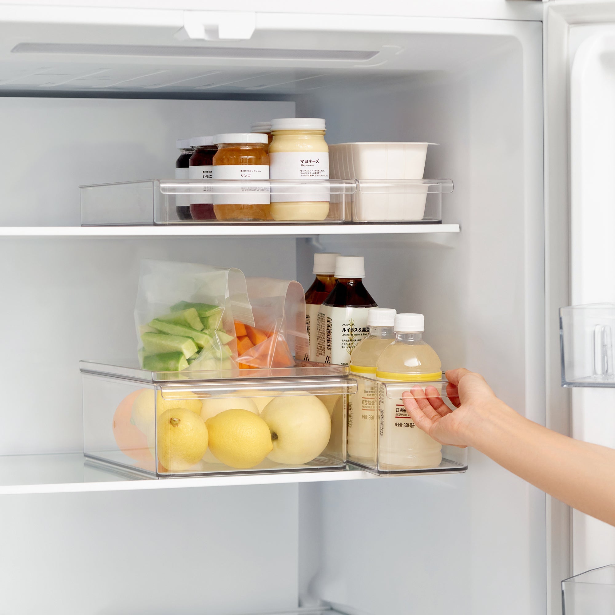 PET Storage Box Lid - Small - Image 7