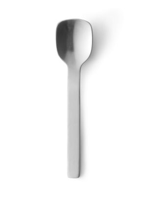 Stainless Steel Ice Cream Spoon