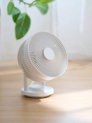 Oscillating Circulator Fan